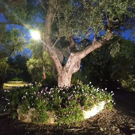 Διαμέρισμα Athena