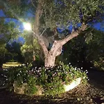 Apartman Athena