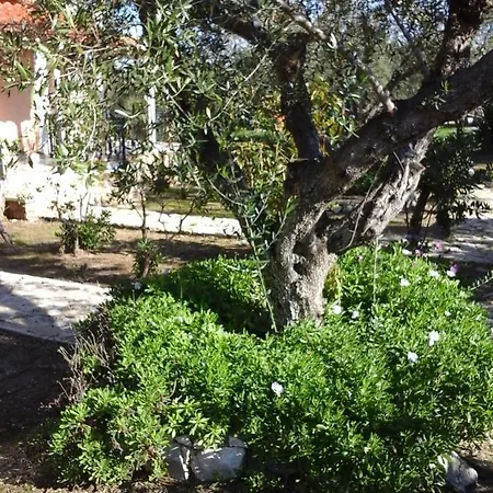 Athena Apartman Vasilikí